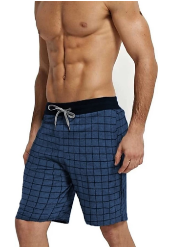 Blue Checked